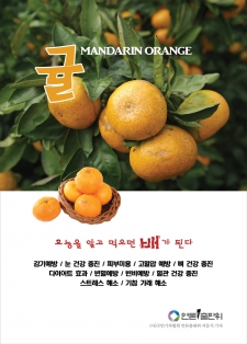 귤(mandarin orange) 효능 / 알고먹으면배가된다-02