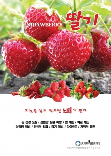 딸기(strawberry)효능 / 알고먹으면배가된다-04
