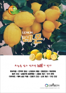 레몬(lemon)효능 / 알고먹으면배가된다-06