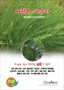 야관문·비수리(bush-clover)효능 / 알고먹으면배가된다-114
