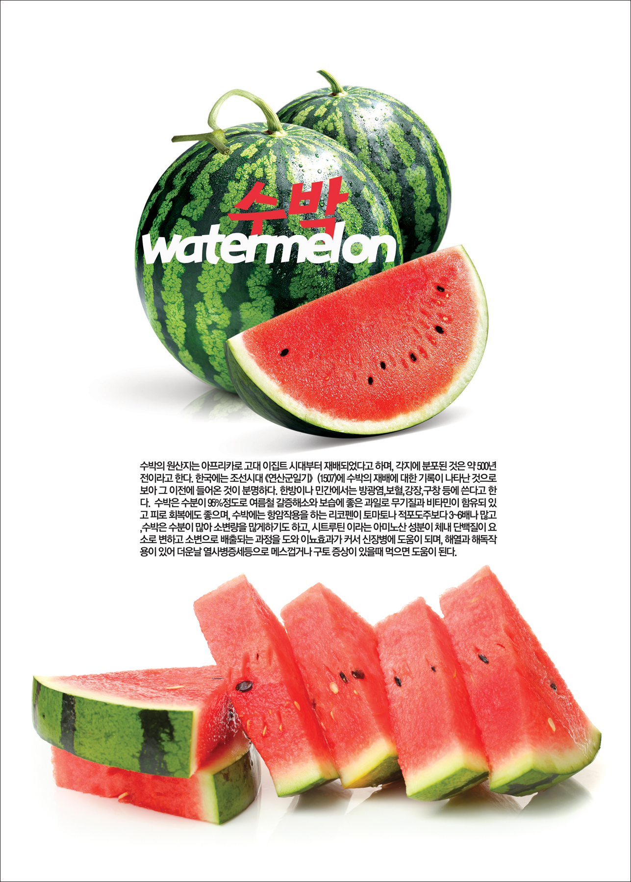 수박 watermelon 효능